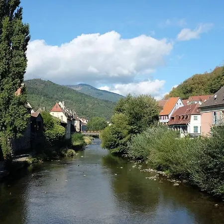 Gite Le Bambou Jama Aspach-le-Haut Esterno foto