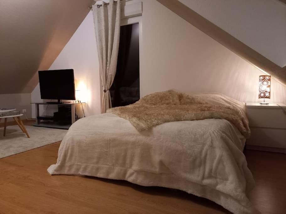 Apartment Le Bambou Jama *